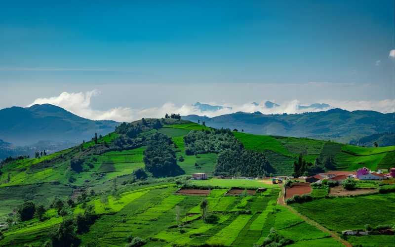 Charming Ooty
